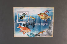 Load image into Gallery viewer, Europe almost only complete sentences all different with better values