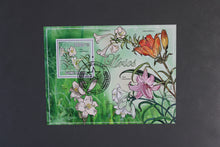 Load image into Gallery viewer, Europe almost only complete sentences all different with better values