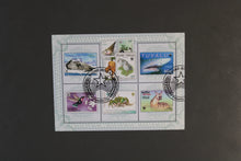 Load image into Gallery viewer, Europe almost only complete sentences all different with better values