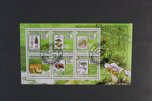 Load image into Gallery viewer, Europe almost only complete sentences all different with better values