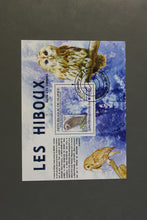 Load image into Gallery viewer, Europe almost only complete sentences all different with better values