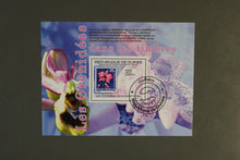 Load image into Gallery viewer, Europe almost only complete sentences all different with better values