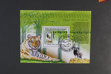 Load image into Gallery viewer, Europe almost only complete sentences all different with better values