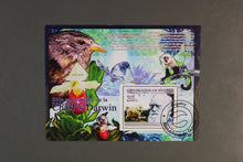 Load image into Gallery viewer, Europe almost only complete sentences all different with better values